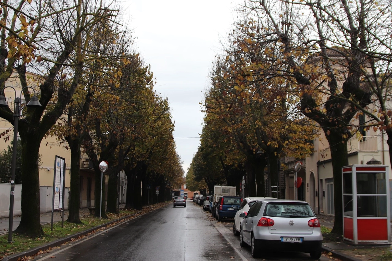 Viale della Rimembranza a Ponsacco