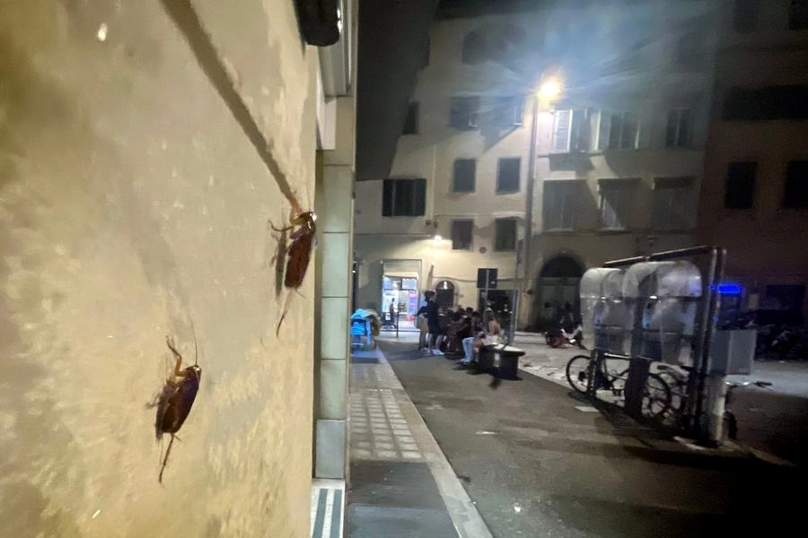 immagine di sfondo 2