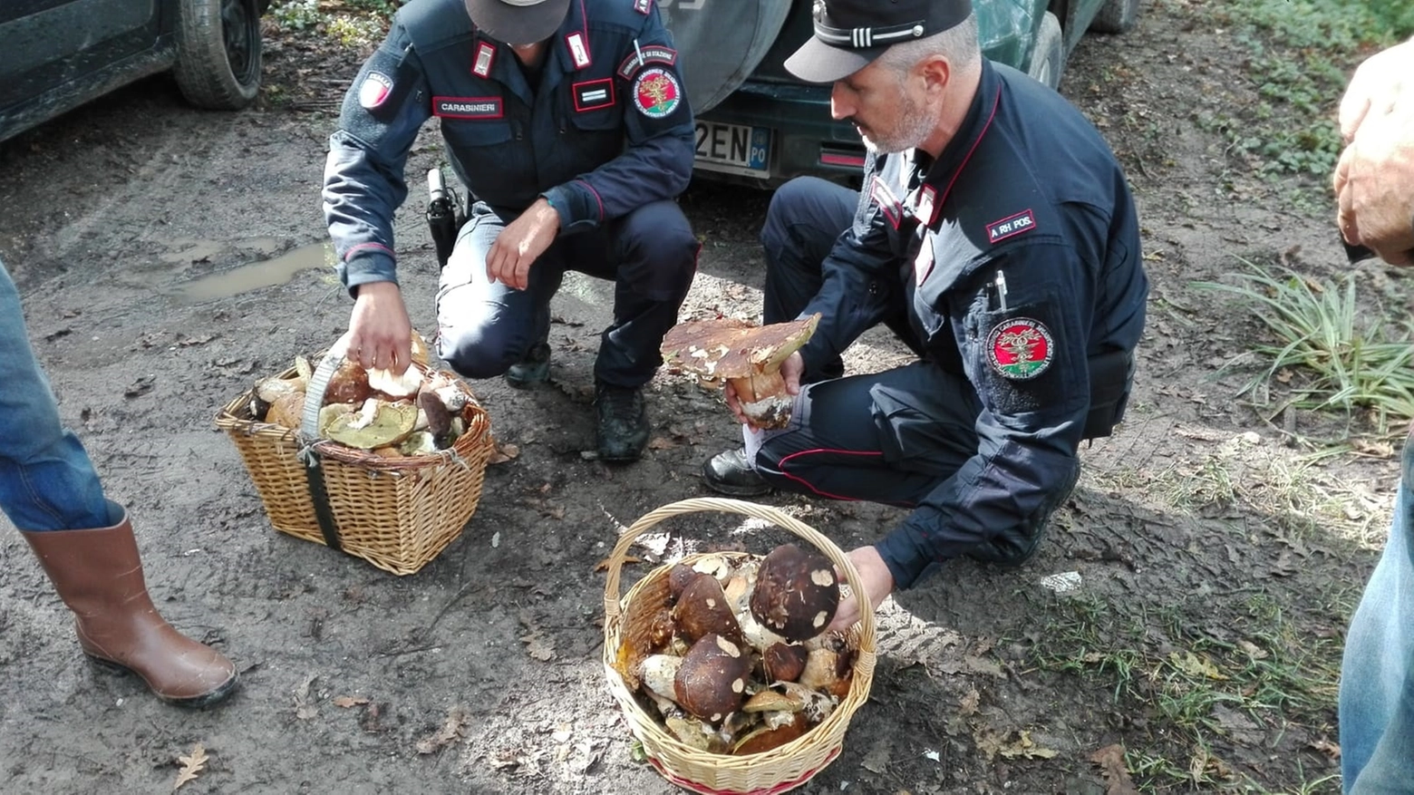 Carabinieri forestali durante un sequestro di funghi