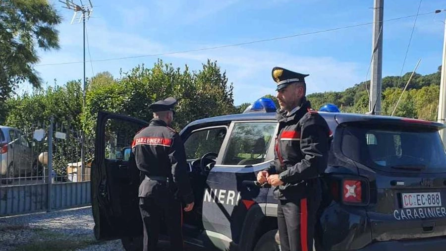 Le indagini sono state condotte dai carabinieri di Lammari