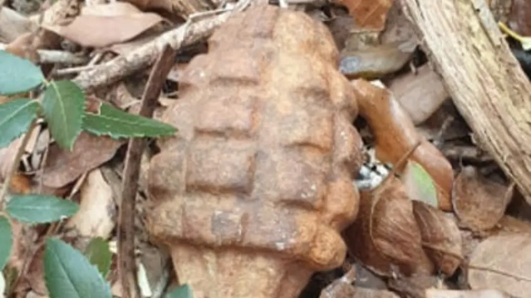 La bomba trovata nel bosco La bomba trovata nel bosco