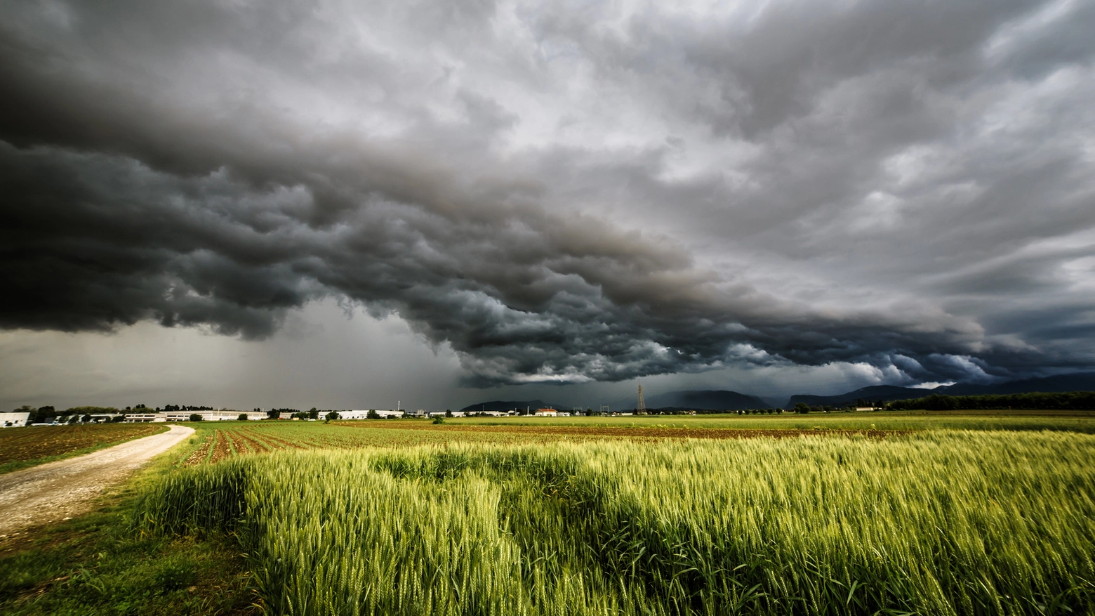 Maltempo in Toscana, emessa allerta meteo gialla per venerdì 12 maggio in tutta la regione