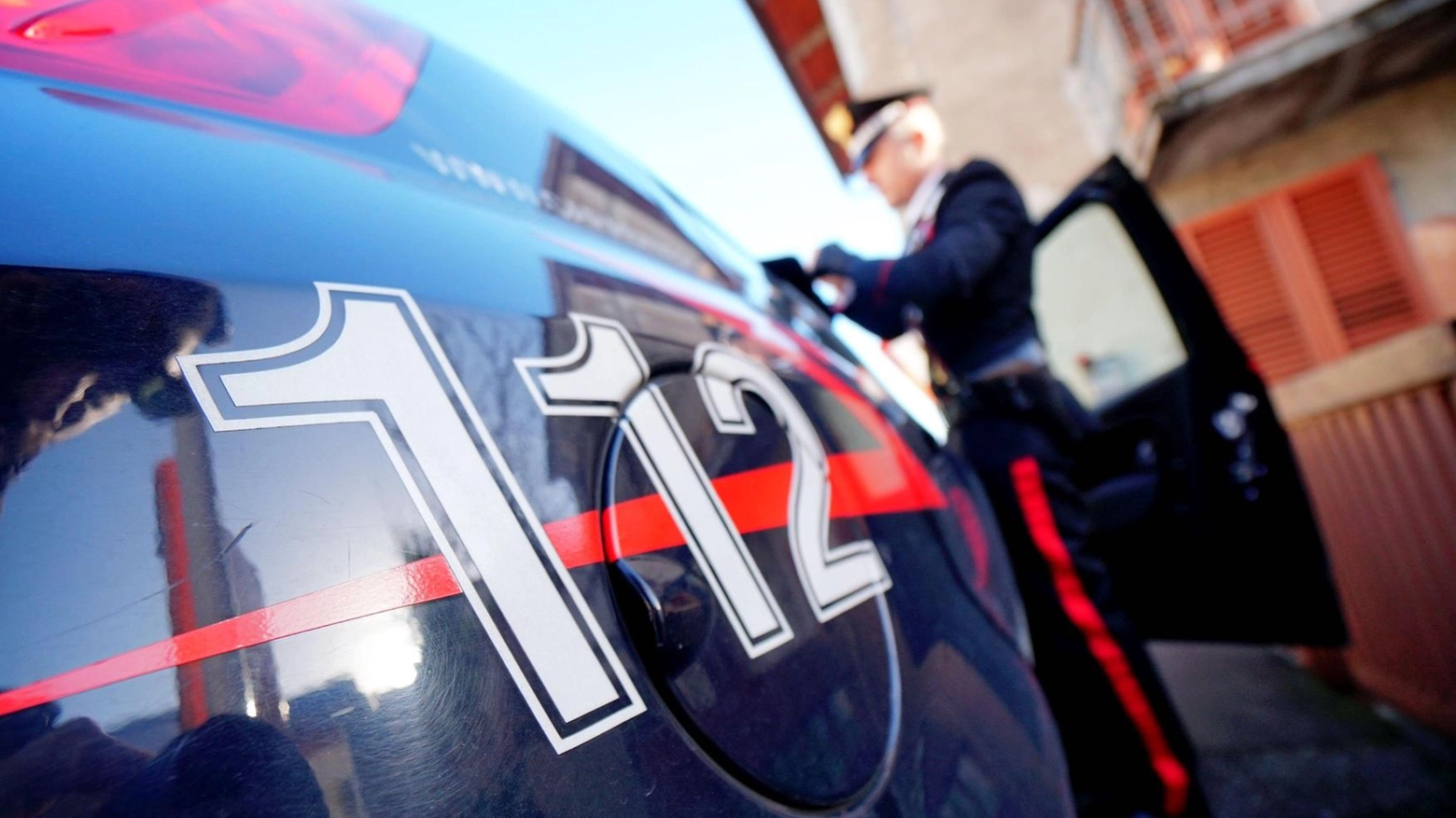 Lupo ferito alla zampa Salvato dai carabinieri Lupo ferito alla zampa Salvato dai carabinieri