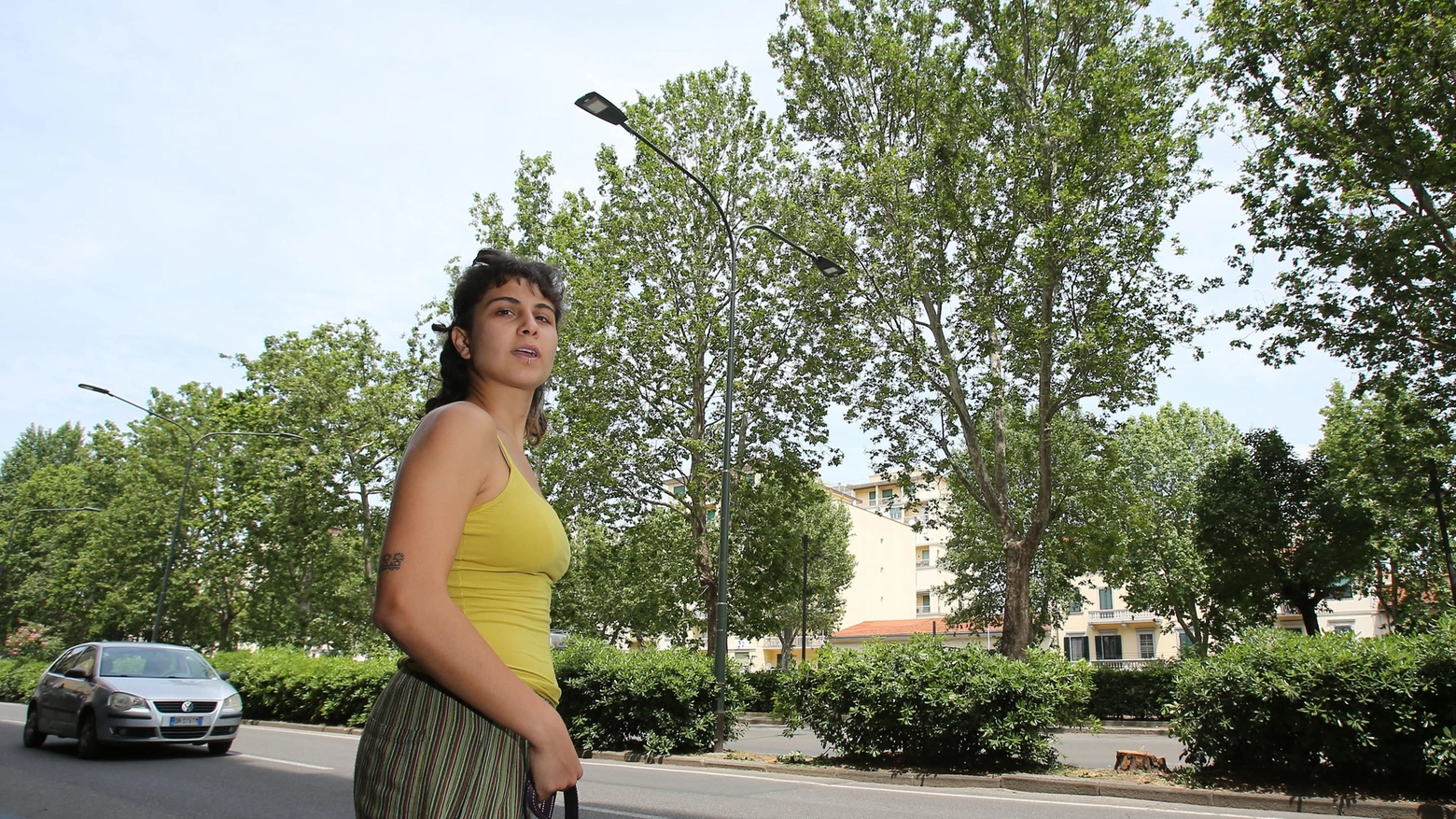 Guerra dei pini Il blitz nella notte Giù 17 alberi, i comitati si infuriano Guerra dei pini Il blitz nella notte Giù 17 alberi, i comitati si infuriano