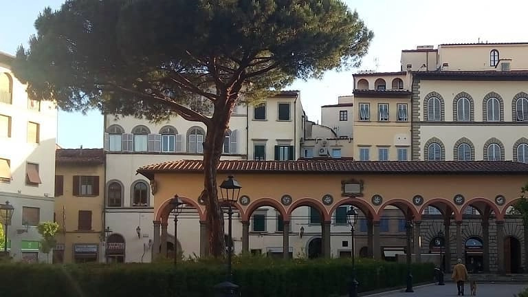 Piazza dei Ciompi prima della caduta del pino (foto da Facebook) Piazza dei Ciompi prima della caduta del pino (foto da Facebook)