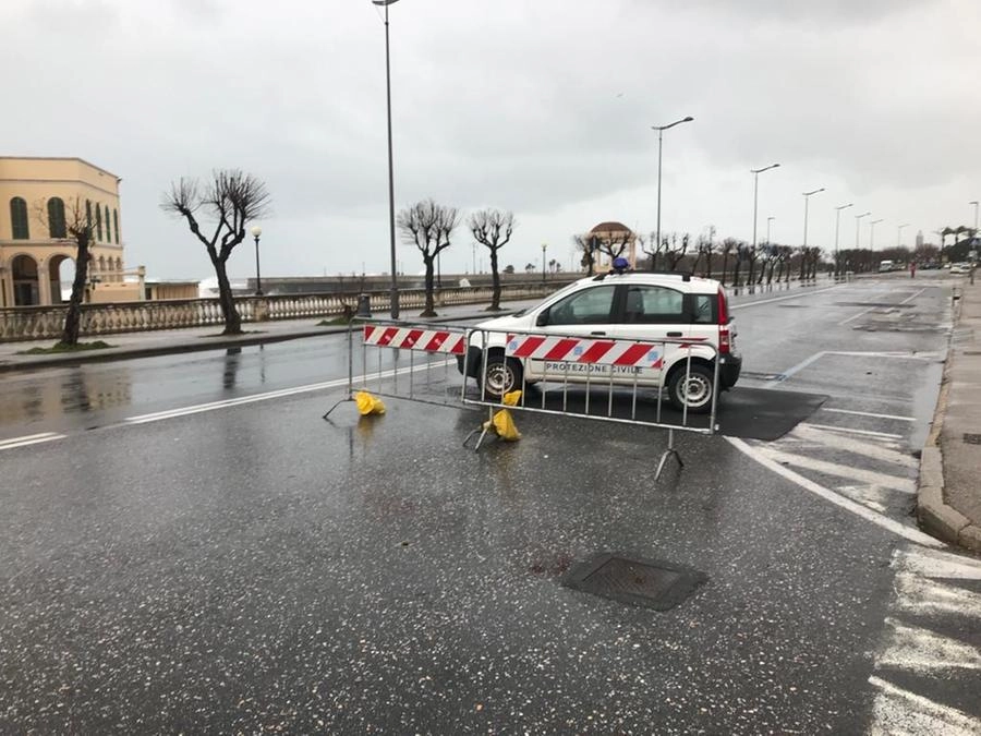 immagine di sfondo 4