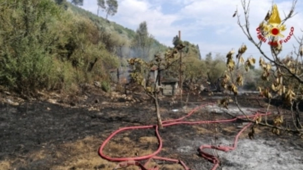 Il fuoco ha distrutto un'area di dieci ettari