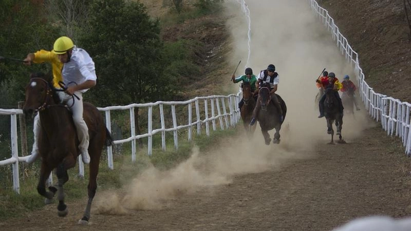 Palio di Casole d’Elsa Provaccia, vince Pievalle Palio di Casole d’Elsa Provaccia, vince Pievalle
