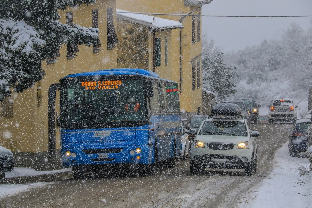 immagine di sfondo 1