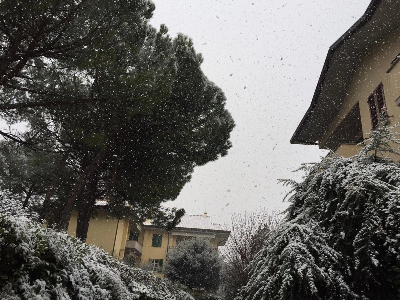 immagine di sfondo 2