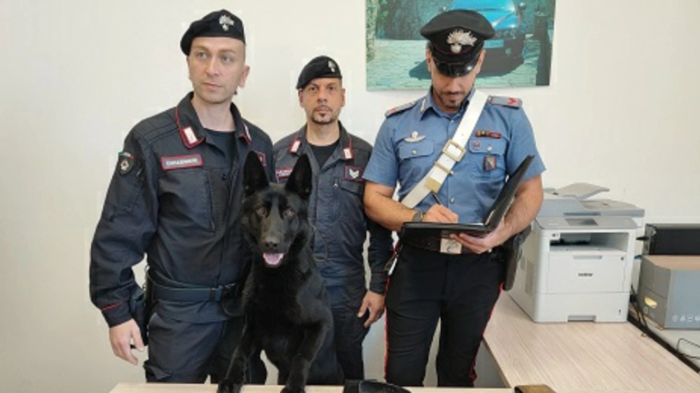 La droga sequestrata La droga sequestrata