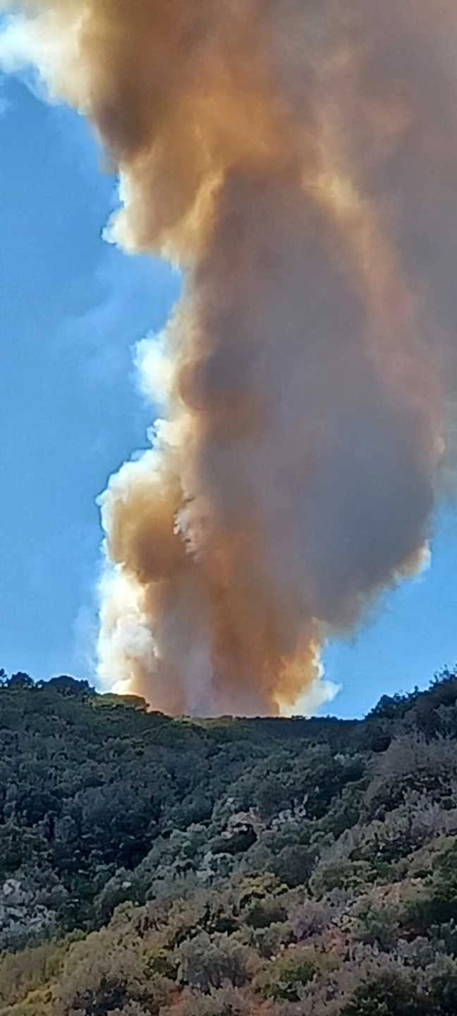 immagine di sfondo 1