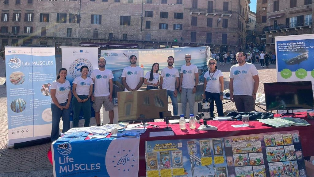’Plastic busters’. Dati ed esiti degli studi sui rifiuti marini ’Plastic busters’. Dati ed esiti degli studi sui rifiuti marini