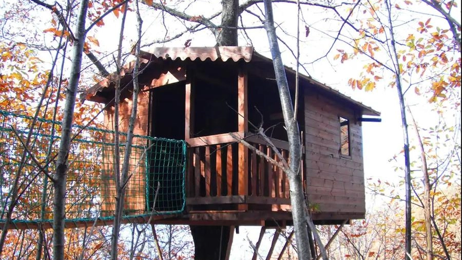 Casa sull'albero (fonte Airbnb)