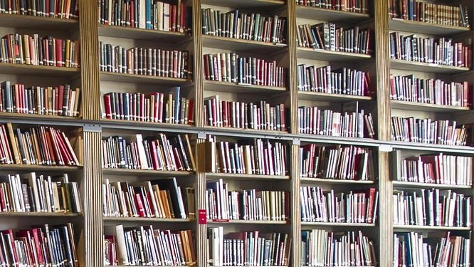 Una biblioteca (foto repertorio Ansa)