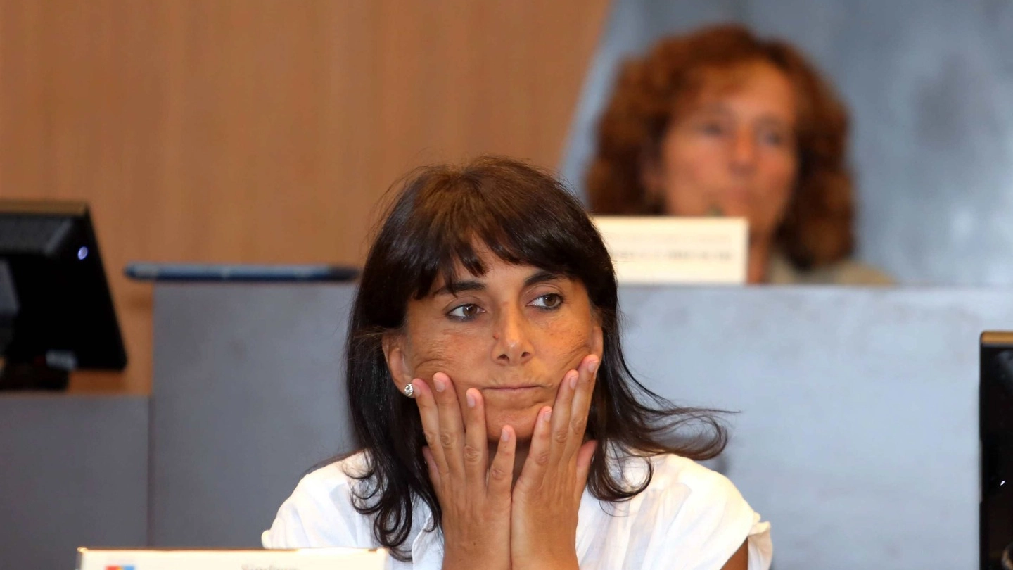 Sara Biagiotti è stata sfiduciata dal consiglio comunale di Sesto (Germogli)