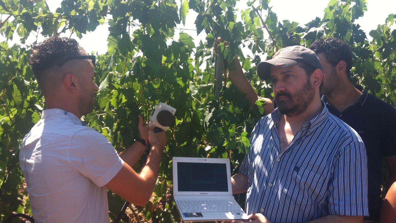 I ricercatori nelle vigne del Morellino