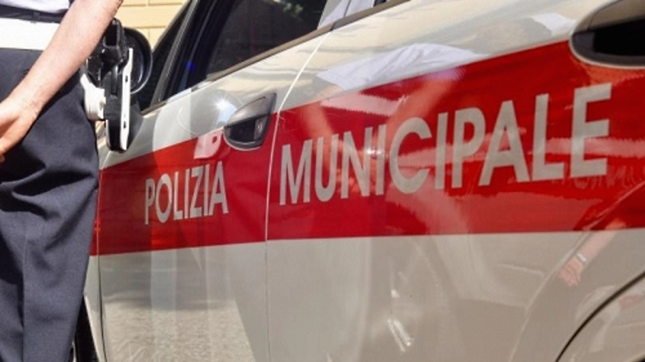 La polizia municipale ha condotto le indagini La polizia municipale ha condotto le indagini
