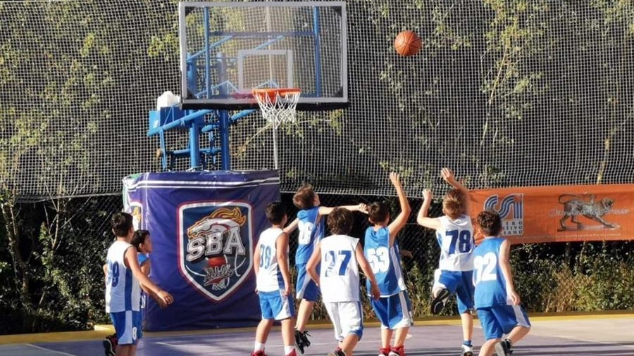 Scuola Basket