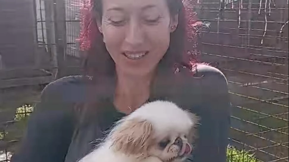 Nati liberi in missione nel ’lager’. Le volontarie salvano dodici cani