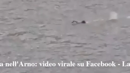 Un frame del video dell'uomo che nuota nell'Arno