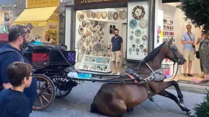 Il cavallo in ginocchio in via Calzaiuoli a Firenze