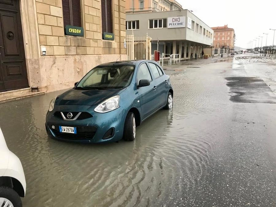 immagine di sfondo 14