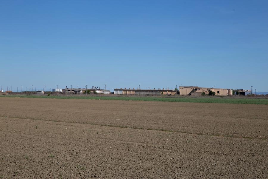 immagine di sfondo 1