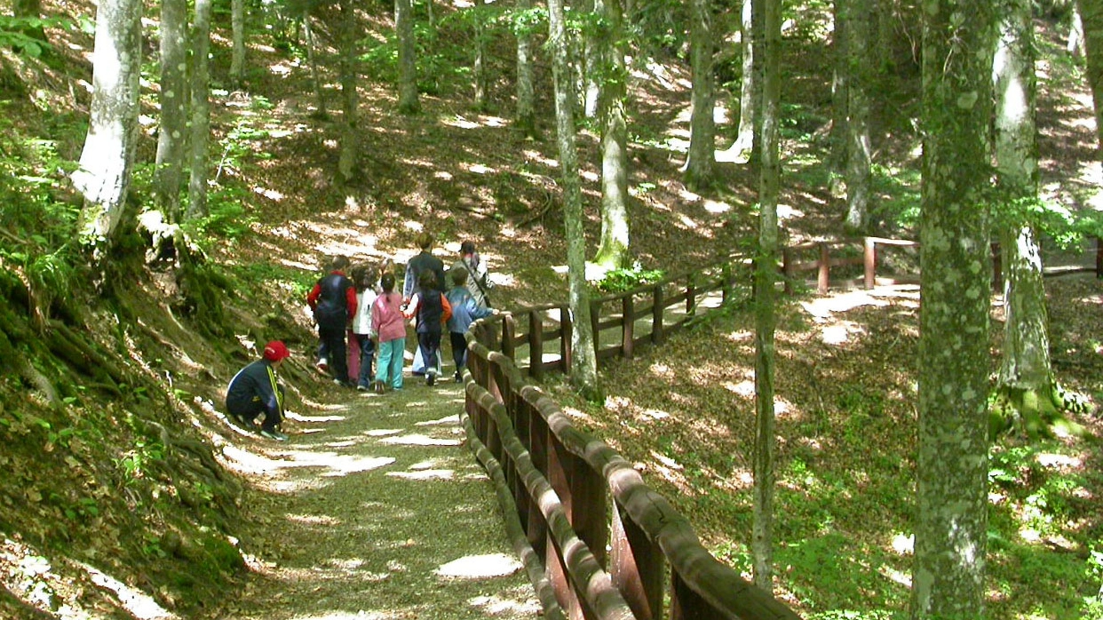 parco parco