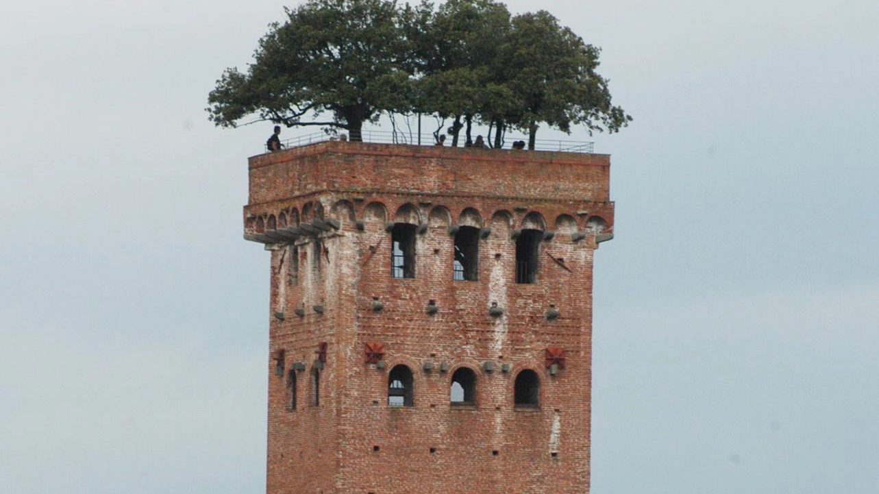 Le magnifiche quattro  Torri e campanili aperti  per centinaia di migliaia  di visitatori ogni anno