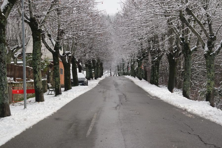 immagine di sfondo 7