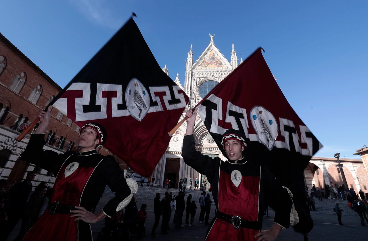 immagine di sfondo 33