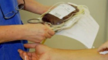 OLTRALPE La maremmana ha contratto l’epatite C dopo una trasfusione praticatale all’ospedale di Marsiglia