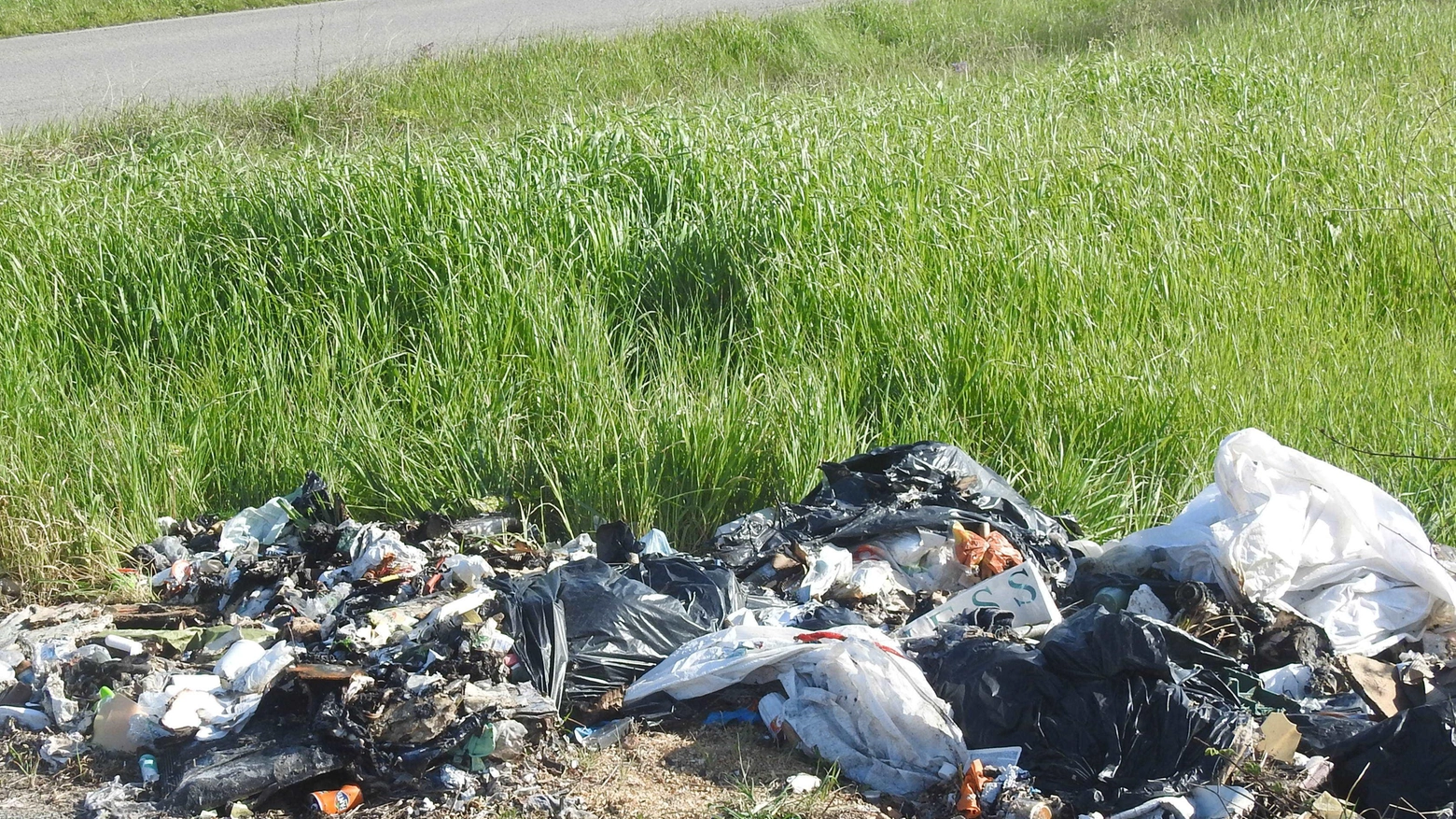 "Nido della cicogna pieno di rifiuti a Titignano" "Nido della cicogna pieno di rifiuti a Titignano"
