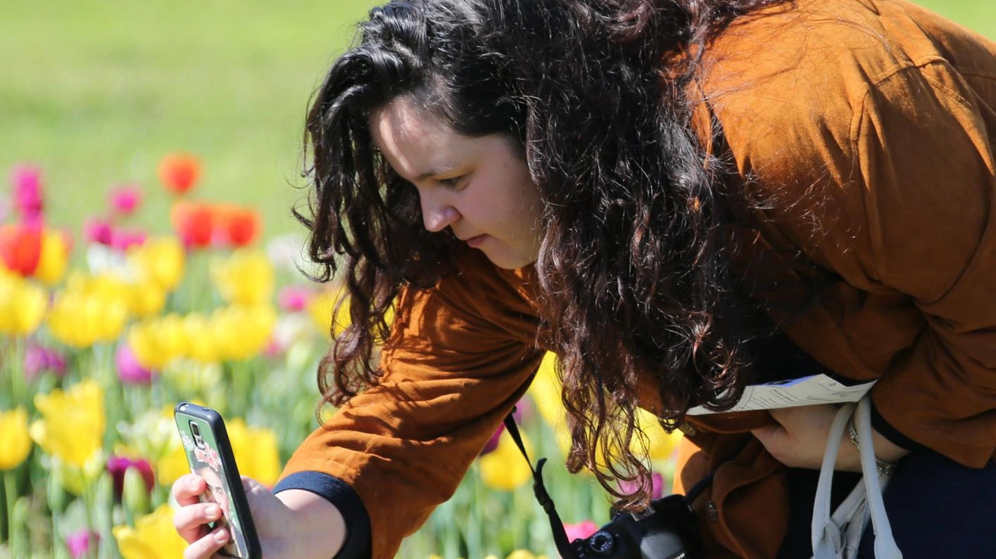 "Giardini diffusi 2023",  la natura si fa toccare  E’ la festa dei tulipani