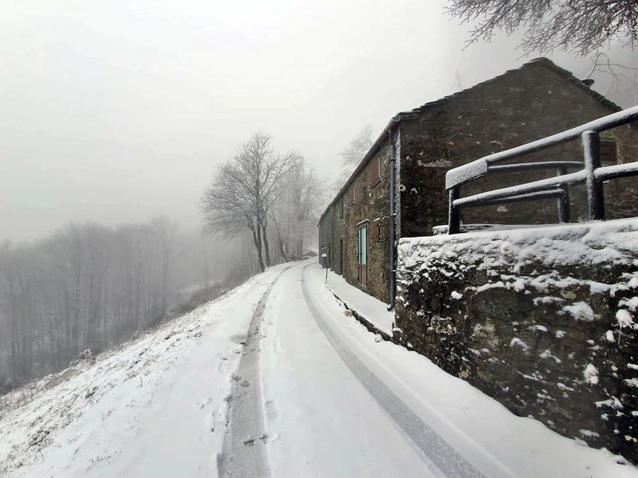 immagine di sfondo 7
