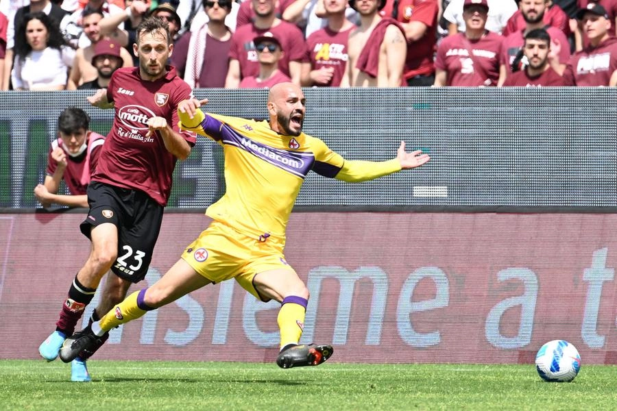 immagine di sfondo 1