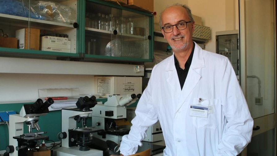 Il professor Pier Luigi Lopalco, epidemiologo dell’ateneo pisano (foto di Valtriani)