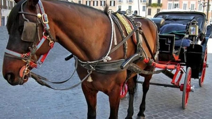 Una carrozza trainata da un cavallo 