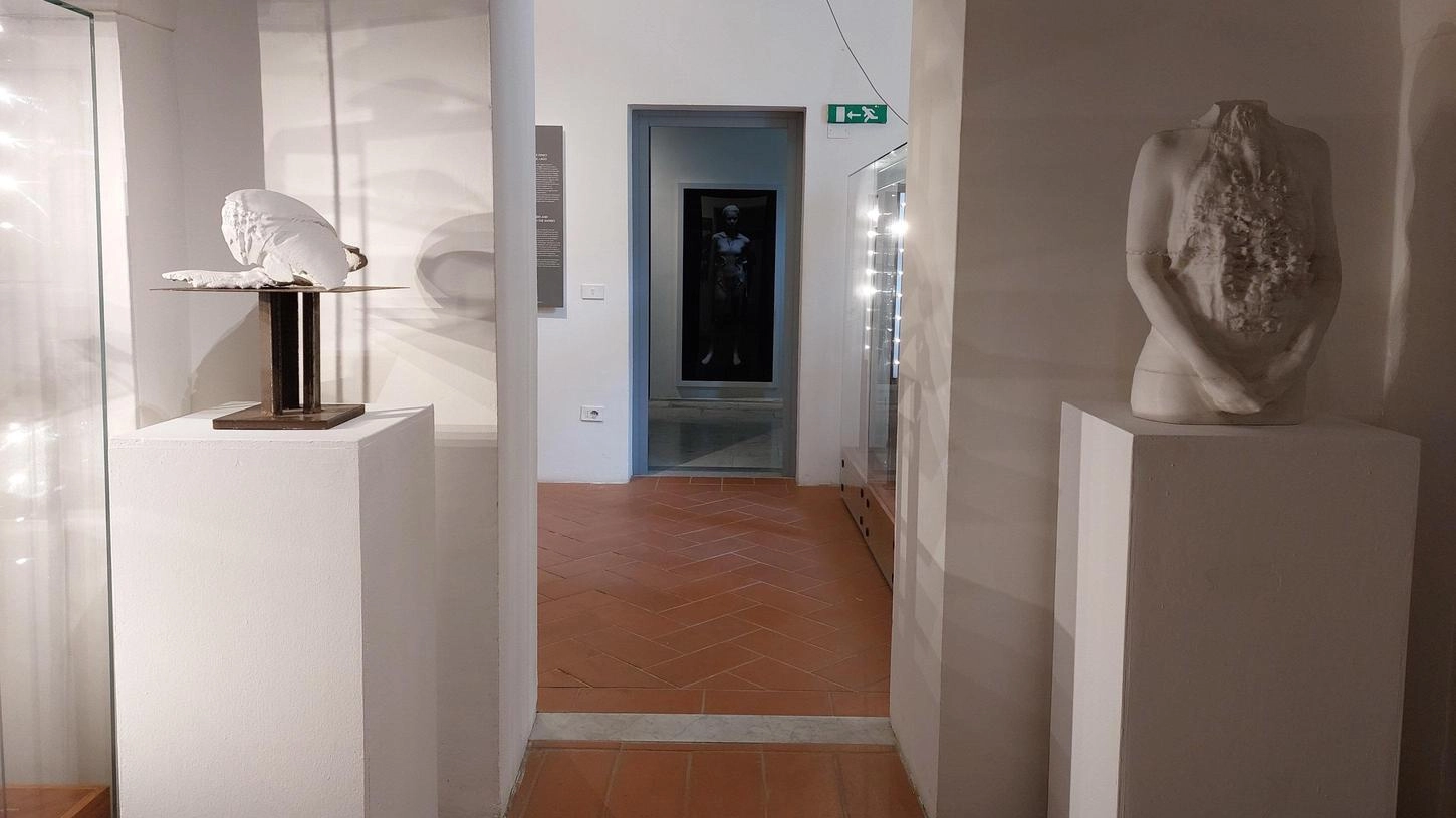 Gli appassionati dei musei domenica visita gratis Gli appassionati dei musei domenica visita gratis