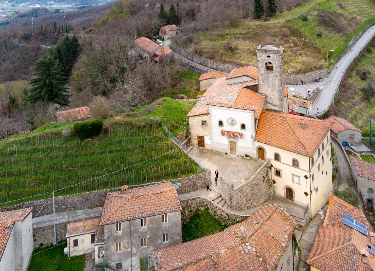 immagine di sfondo 1