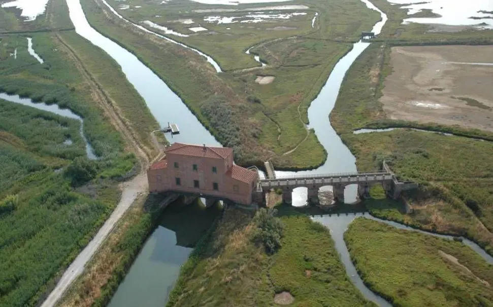 Escursioni con Terramare. Rafting sull’Ombrone e trekking nella Diaccia