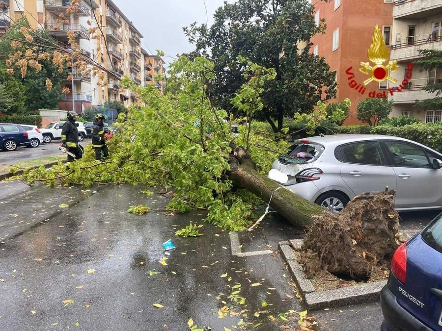 immagine di sfondo 5