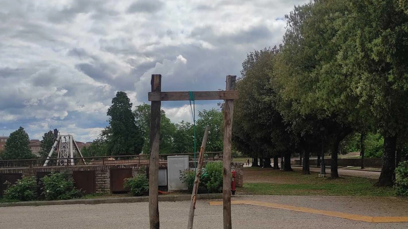 Atto vandalico in Fortezza Divelto uno dei giovani ippocastani Atto vandalico in Fortezza Divelto uno dei giovani ippocastani