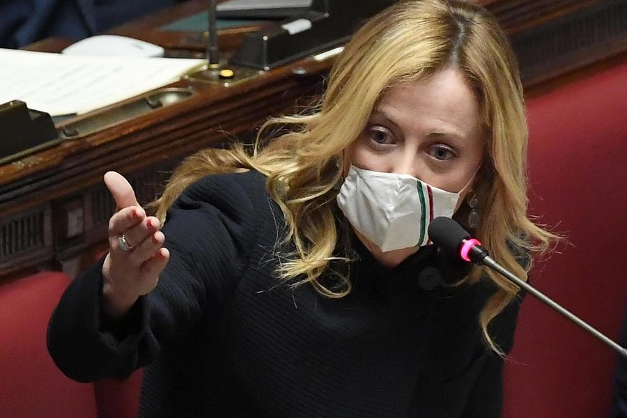 Giorgia Meloni (FdI)
