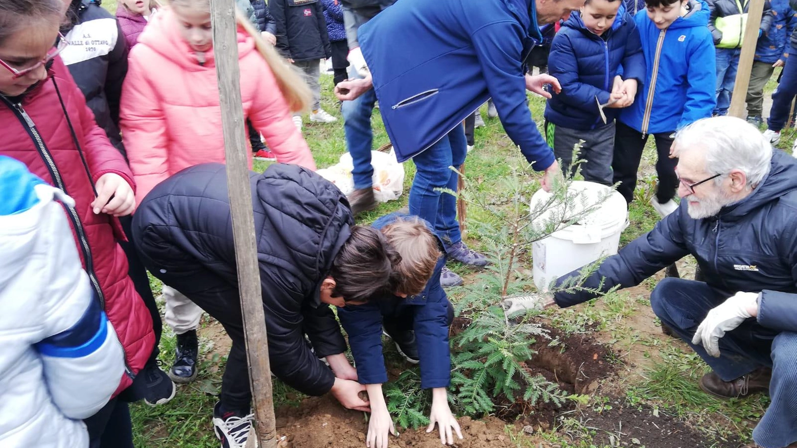 Due sequoie per i parchi, ci pensano i bambini Due sequoie per i parchi, ci pensano i bambini