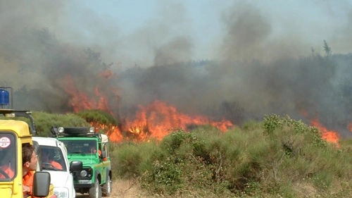 La provincia di Grosseto è stata messa a dura prova dagli incendi