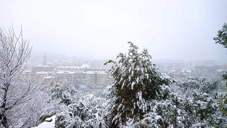 Meteo sabato 11 dicembre: neve a bassa quota sulle Marche