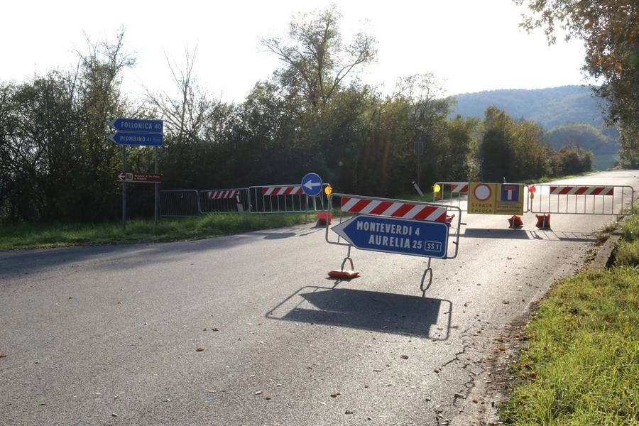 immagine di sfondo 10