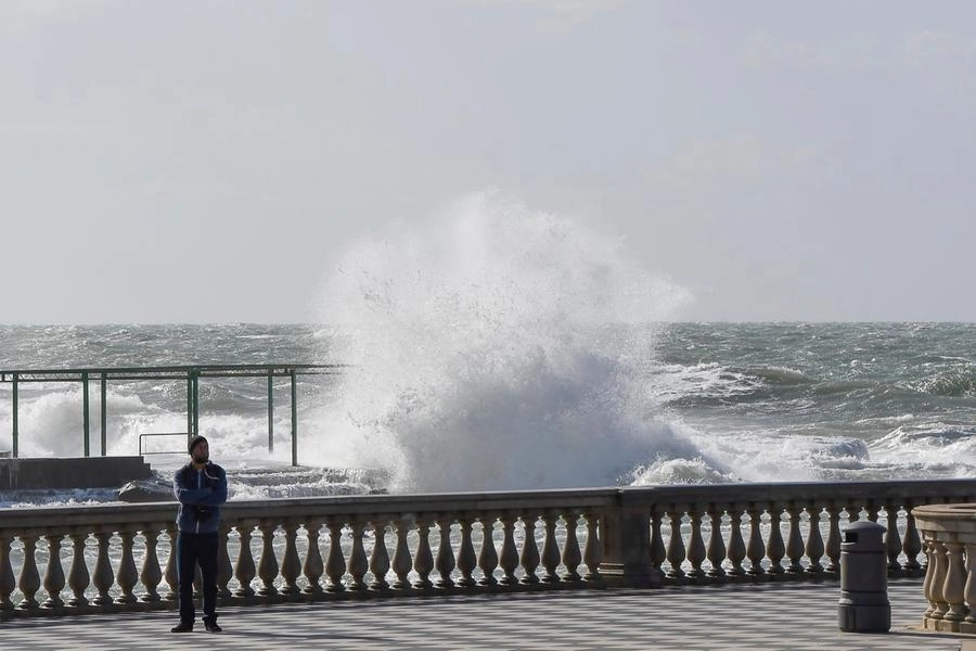 immagine di sfondo 1